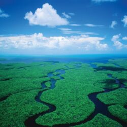 Exploring Everglades National Park in Miami