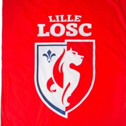 World Cup: Lille FC Wallpapers