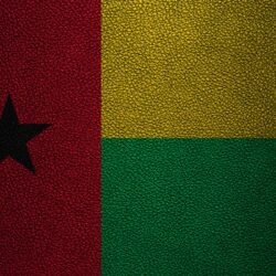 Download wallpapers Flag of Guinea