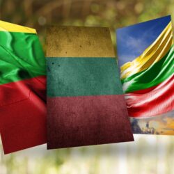 Lithuania Flag Wallpapers for Android
