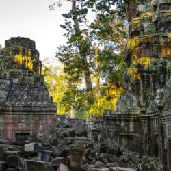 trees, temple, viewes, Angkor Wat, Cambodia, ruins