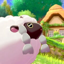 Pokémon Sword and Shield’s Wooloo is the best of the 8th