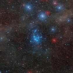 Vela Constellation: Facts, Myth, Stars, History, Deep Sky Objects