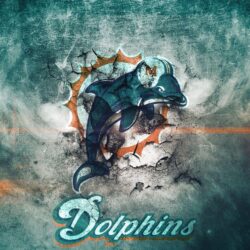 Free Miami Dolphins Wallpapers Screensavers