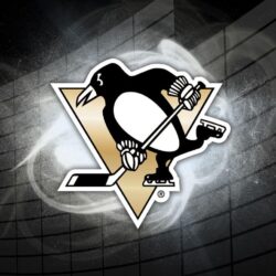 Pittsburgh Penguins take a lose 3