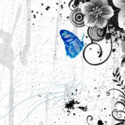 Butterfly Wallpapers For Android 108436 HD Wallpapers