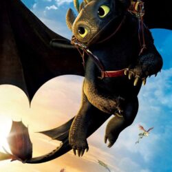 How to Train Your Dragon 2 Galaxy S6 Wallpapers