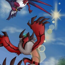 Yveltal and Swellow by kitschsous