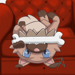 Rockruff playing with the bone.