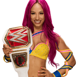 Sasha Banks WWE Women’s Champion by Nibble