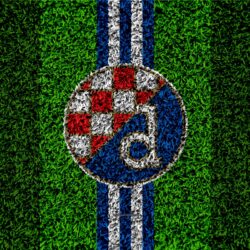 Download wallpapers GNK Dinamo Zagreb, 4k, football lawn, logo