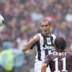 ?r=site/cut&f=pictures/originals/2013/ The irreplaceable halfback of Juventus Giorgio Chiellini 050289 &w=1024&h=1024