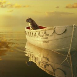 Life Of Pi Wallpapers for PC