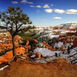 Nature: Aloneonthe Rim Bryce Canyon National Park Utah, picture nr