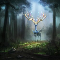 Xerneas Wallpapers, 50 Best HD Image of Xerneas, 4K Ultra HD