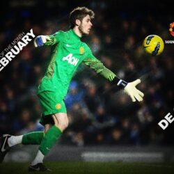 David De Gea HD