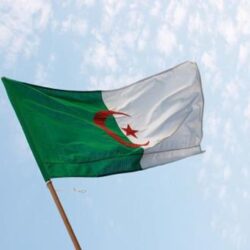 Algeria flag wallpapers