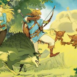 Legend of Zelda Breath of the Wild wallpapers 75+