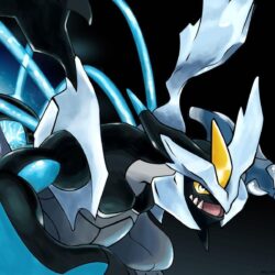 Pokemon Black and White Wallpapers