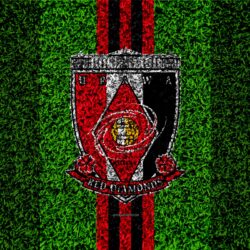 Download wallpapers Urawa Red Diamonds FC, 4k, logo, football lawn