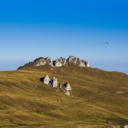 Paragliding in Romania HD desktop wallpapers : Widescreen : High