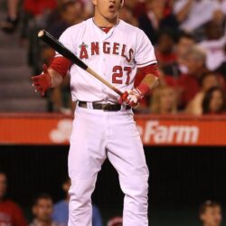 236 best image about Trout