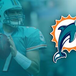 Dolphins Wallpapers and Backgrounds