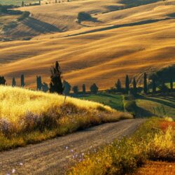 tuscany countryside