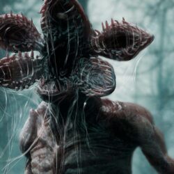 Creature, Demogorgon, Monster, Stranger Things HD Wallpapers