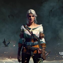 Ciri The Witcher 3 Wild Hunt Wallpapers