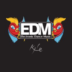 EDM Electronic Dance Music Wallpapers