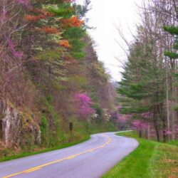 Blue Ridge Gazette: Spring on the Blue Ridge Parkway of Virginia