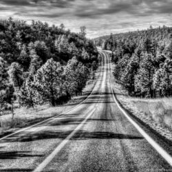 Black and White Road widescreen wallpapers