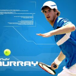Andy Murray image Andy Murray HD wallpapers and backgrounds photos