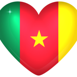 Cameroon Large Heart Flag