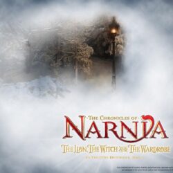 Chronicles of Narnia wallpapers