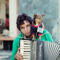 Download wallpapers musician, accordion, dog, street