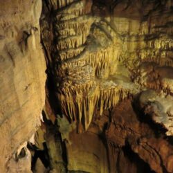 ShoreXplorers: Mammoth Cave is