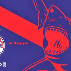 Ligrafica MX: Tiburones Rojos • Kappa • 220314CTG