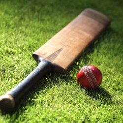 Fine HDQ Cricket Image
