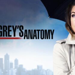 Grey’s Anatomy Season 12 Poster