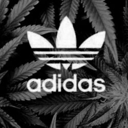 78+ Adidas Iphone Wallpapers