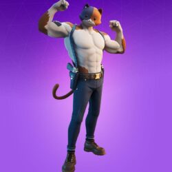Meowscles Fortnite wallpapers