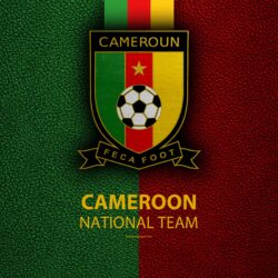 Download wallpapers Cameroon national football team, 4k, leather