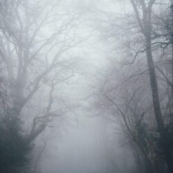 20+ Best Free Fog Pictures & Stock Photos