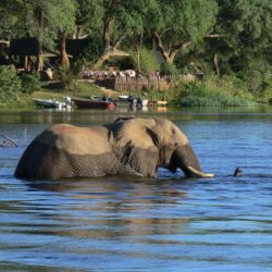 The Lower Zambezi National Park • Hansel Travel
