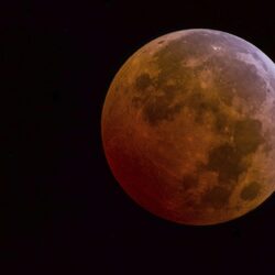 Supermoon total eclipse is essential viewing