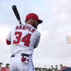 Bryce Harper embraces high expectations