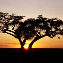 Sunrise, Africa desktop wallpapers