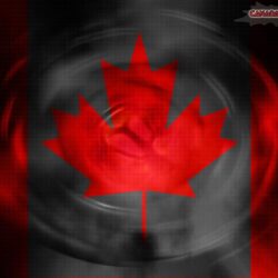 HD wallpapers Canada Flag Leaves Rocks HD Wallpapers flag, canada